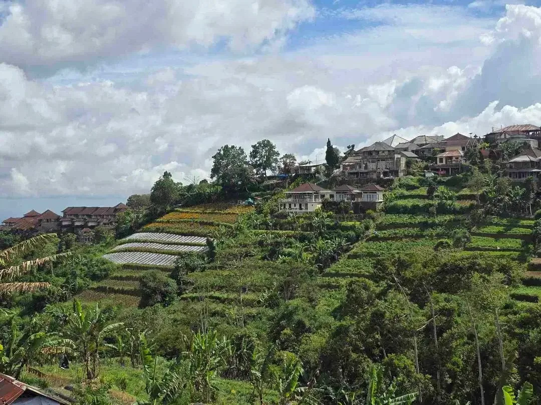 Dijual tanah murah view istimewa gunung lembah dan perkotaan di bedugul bali - Image 7 of 10