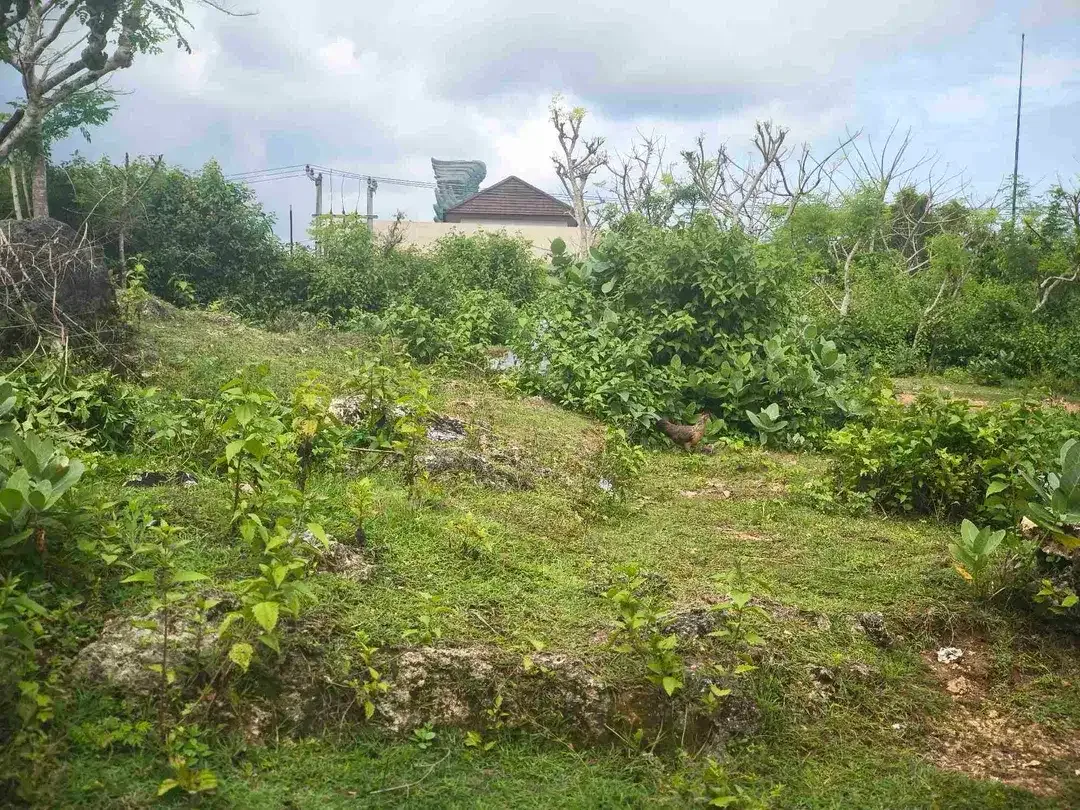 dijual tanah 5 are  harga 500 juta per are Kawasan GWK ungasan Kuta Selatan Badung Bali - Image 7 of 10