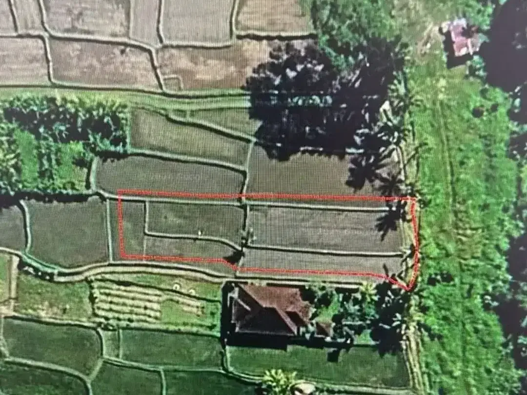 Land for sale in Pejeng, Bali - Image 2 of 9