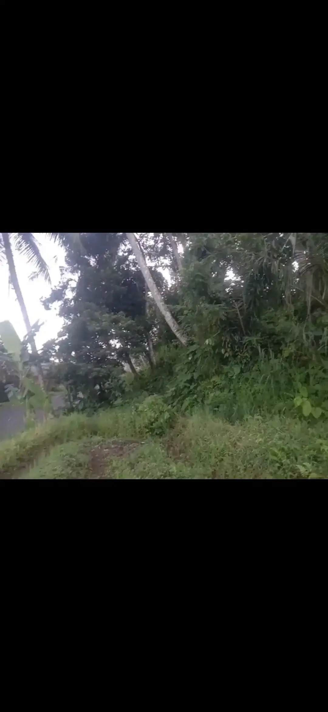 Land 4a for Sale close to Sidemen Traditional Village Bali - Image 6 of 10