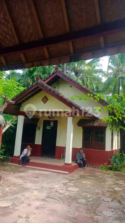 For Sale Local House In Lovina Central - Image 2 of 4