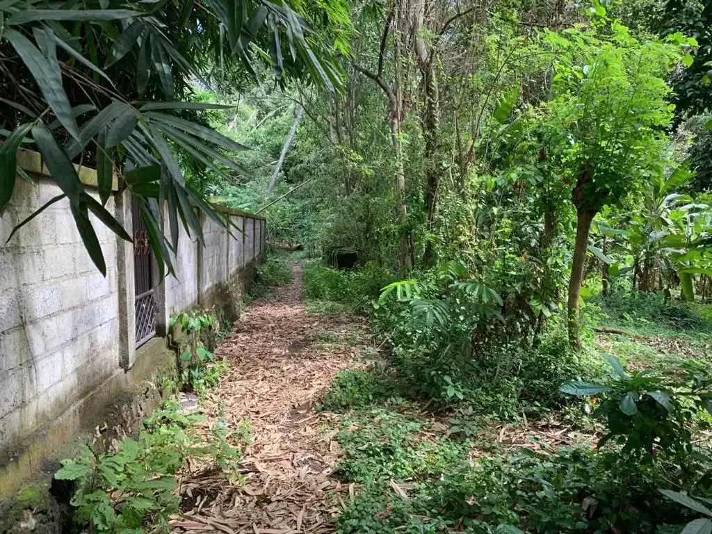 TANAH LOS SUNGAI COCOK UNTUK VILLA LOKASI BUWIT TABANAN - Image 10 of 10