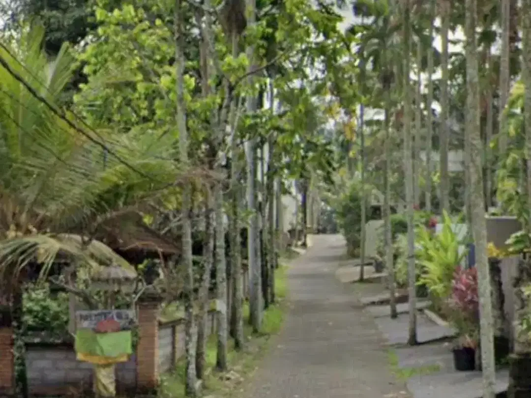 Land for sale in Ubud, Bali - Image 6 of 7