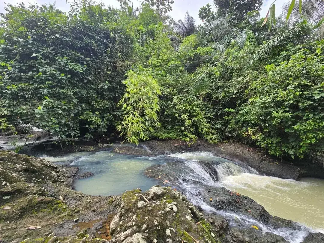 Dijual tanah view sungai dekat villa galalima glamping bali - Image 10 of 10