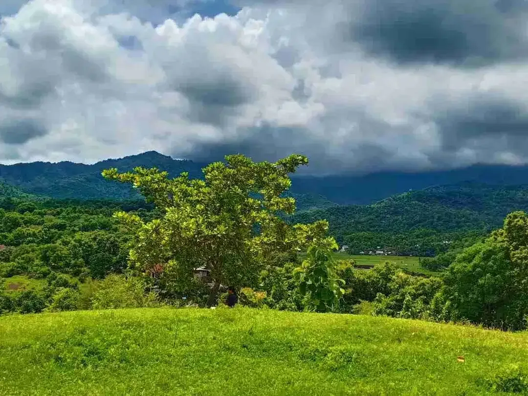 9350 M2 FREEHOLD LAND FOR SALE IN PANGKUNG PARUK SERIRIT BULELENG NORTH BALI - Image 1 of 10
