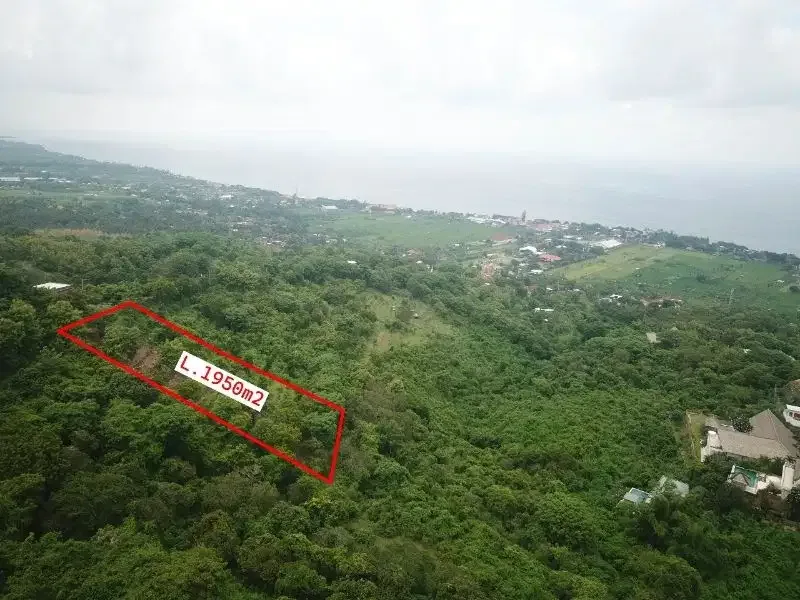 lahan 19are di Cempaga View pantai Lovina - Image 7 of 8