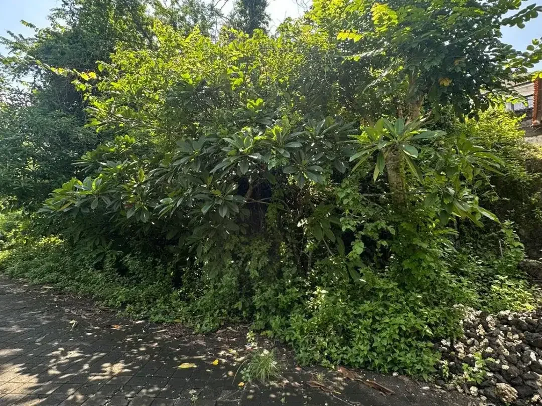 Dijual Tanah Kavling 3 dan 4 Are Dekat Pintu Tol Nusa Dua - Image 4 of 4