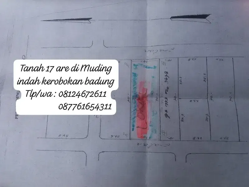Tanah 1700m2 di Muding indah Kerobokan Badung - Image 6 of 6