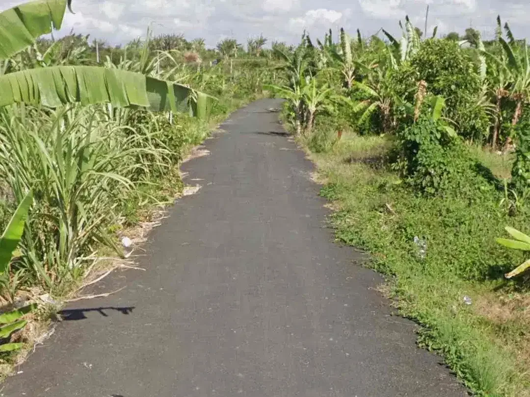 Di jual tanah kavling mulai 1 are
Lokasi di padang galak sanur bali - Image 3 of 4