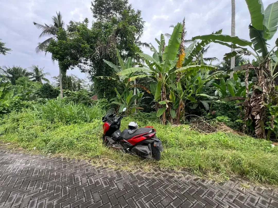 Exceptional Leasehold Land in Ubud - 19 Are Prime Land with Peaceful Jungle View near Ubud Center - Image 4 of 10