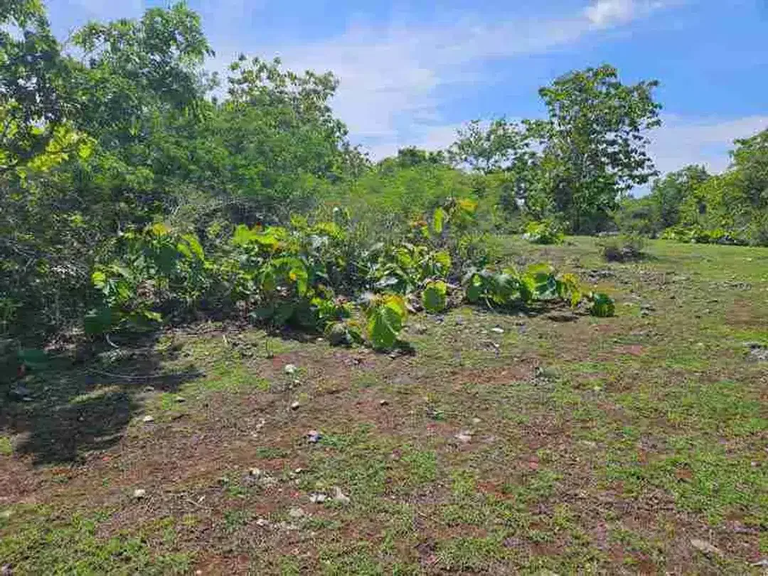 dijual tanah 2,05 hektar IDR 500 juta per are  kawasan pantai balangan jimbaran badung bali - Image 3 of 10