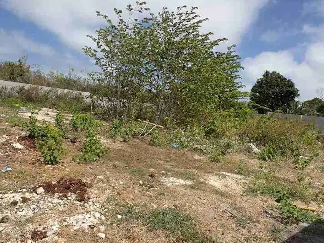 DIJUAL TANAH PREMIUM HANYA BERJARAK 3 MENIT PANTAI PANDAWA - Image 2 of 7