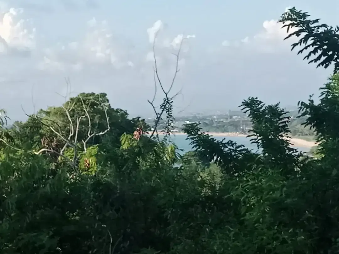 Dijual Tanah Full Ocean View - Jimbaran ,Kuta Selatan ,Badung-Bali - Image 4 of 5