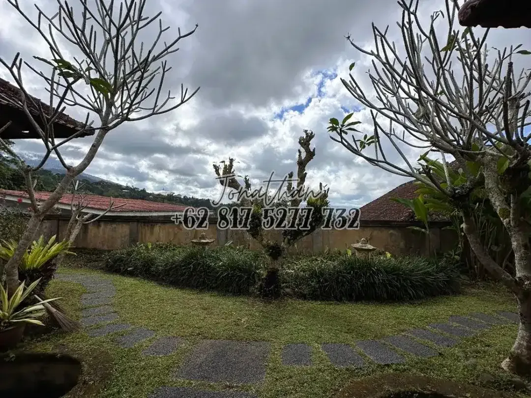 Dijual Villa 1 Lantai SHM 3 Kamar View Alam Sejuk di Baturiti Bedugul Tabanan Bali - Image 8 of 10