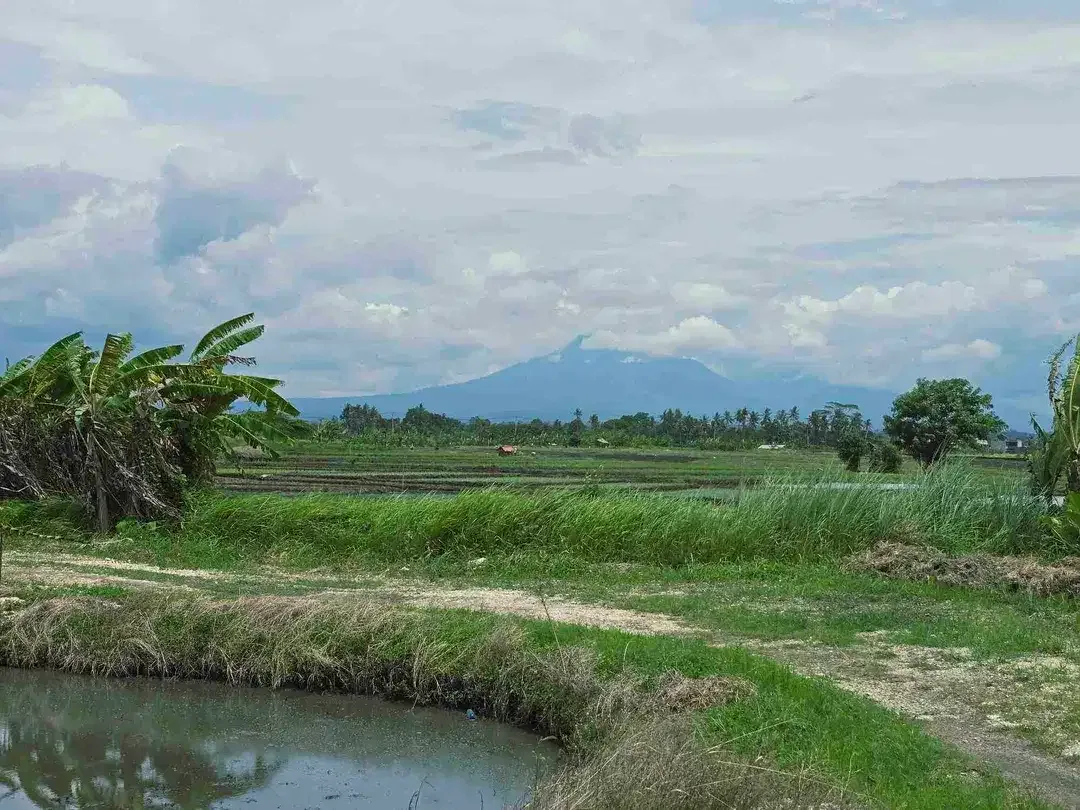 Dijual tanah view laut dekat pantai pasut di tabanan bali - Image 6 of 10