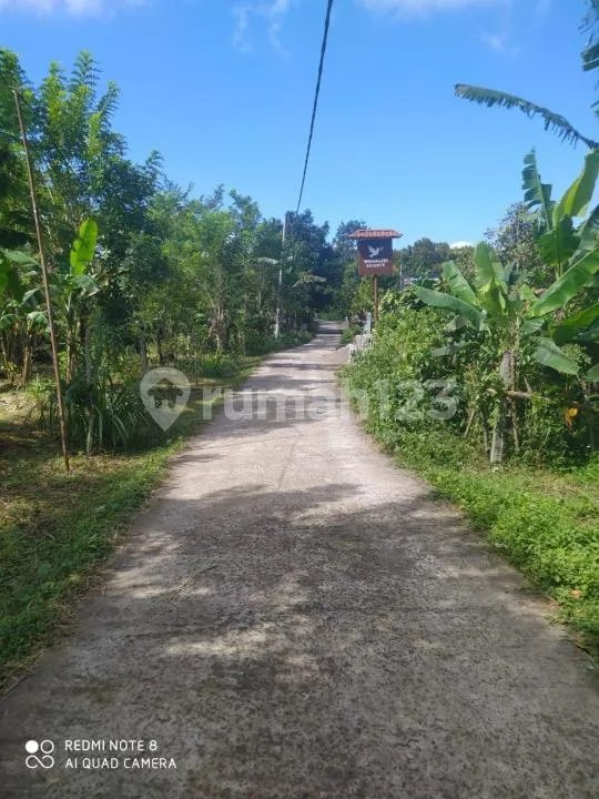 Tanah Dijual di Wanagiri, Bali - Image 1 of 4