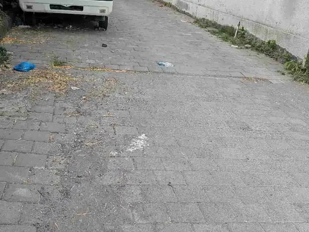 JUAL TANAH GLOBAL JL SEDAP MALAM, SEKITAR 9 menit KE PELABUHAN SANUR - Image 3 of 5