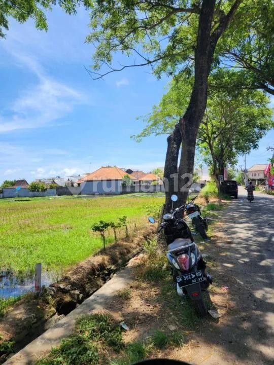 Land For Sale In Seseh Beach Bali - Image 1 of 4