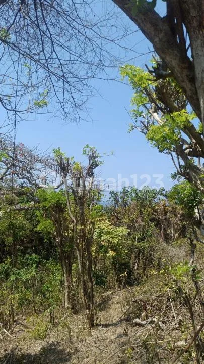Dijual Tanah Ocean View Dekat Bulgary Resort Uluwatu Pecatu Kuta Selatan Badung Bali - Image 2 of 3