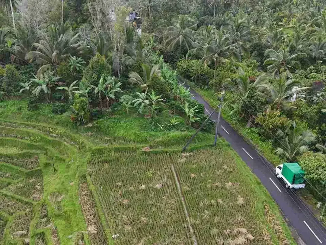 jual tanah luasan kecil view sawah area pemukiman di wanagiri selemadeg tabanan bali. - Image 1 of 10