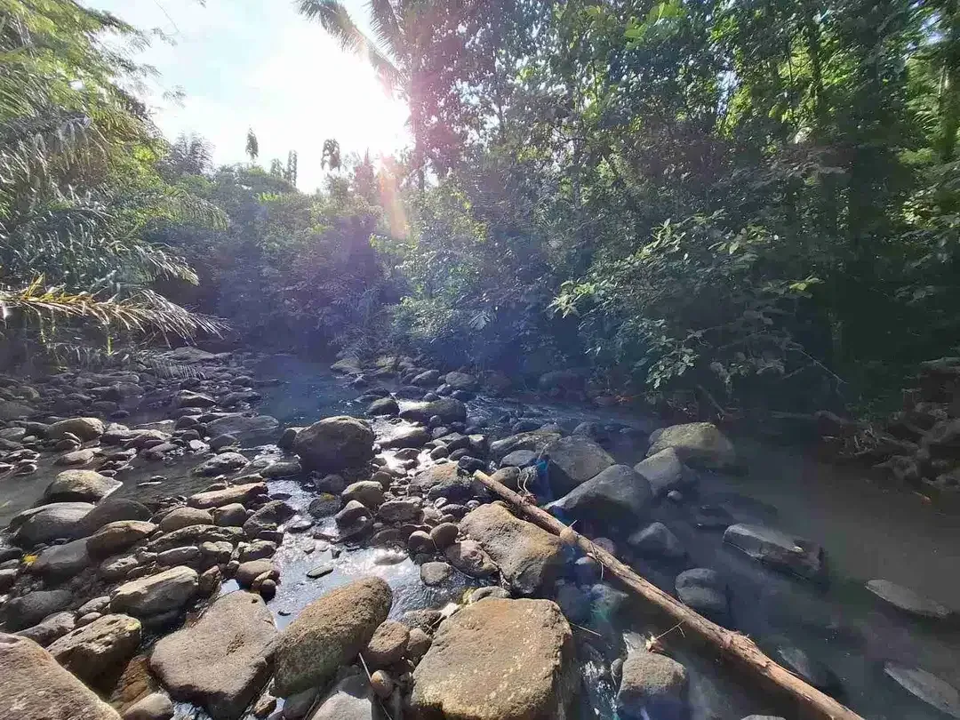 Dijual tanah murah los sungai dekat villa di bali - Image 2 of 10
