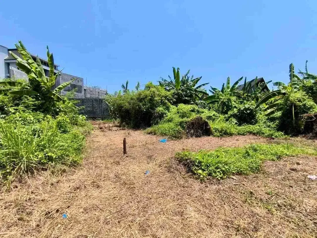 Tanah premium sangat langka dekat dengan pantai sangat cocok untuk komplex villa - Image 2 of 7