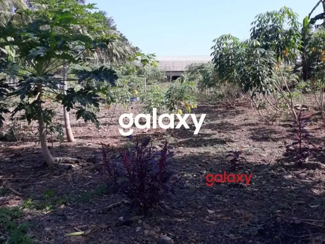 DIJUAL TANAH + GUDANG PANTAI RENING BALUK NEGARA JEMBRANA, BALI - Image 7 of 7
