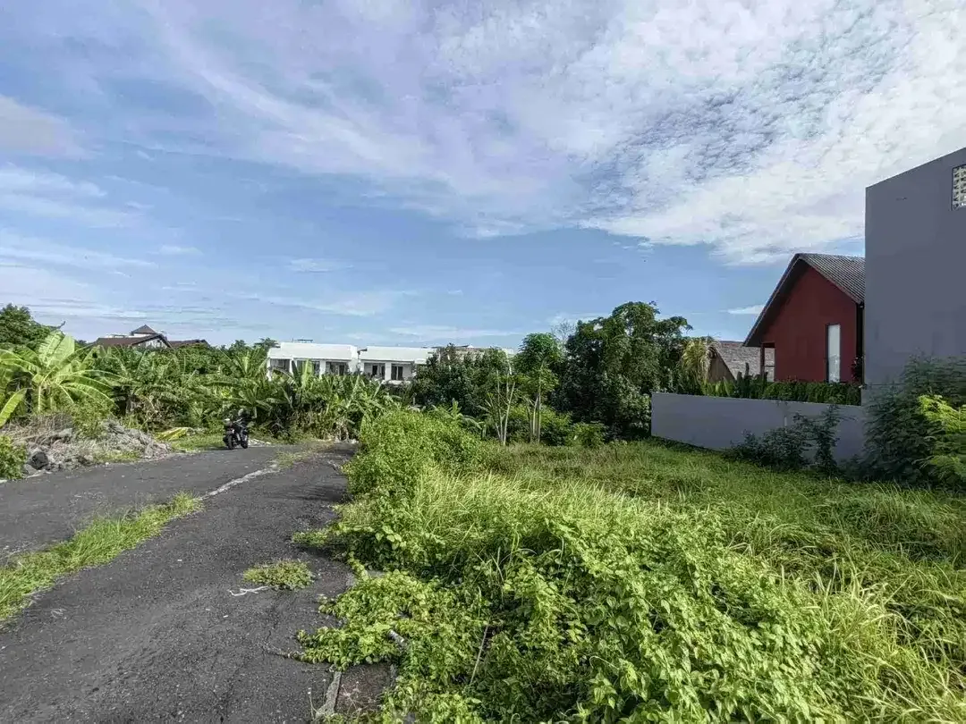 Tanah Premium Jl Ambengan Shortcut Canggu - Image 5 of 10