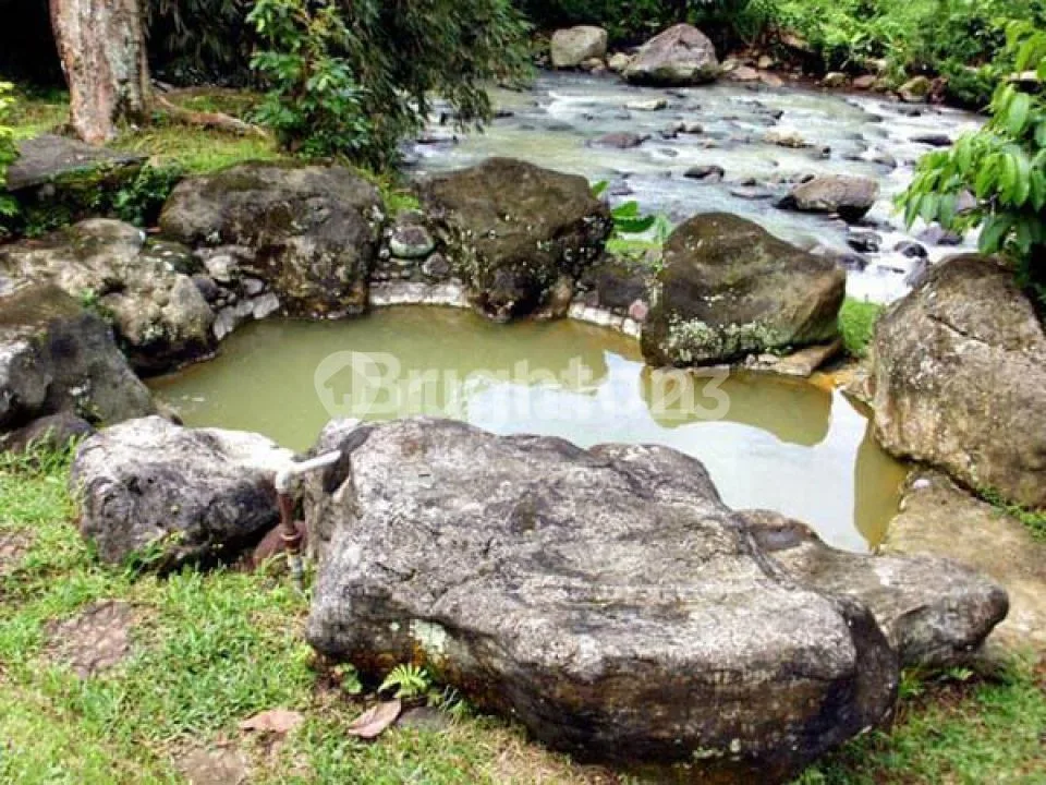 Tanah di Samping Hot Spring Yeh Panes Tabanan - Image 3 of 4
