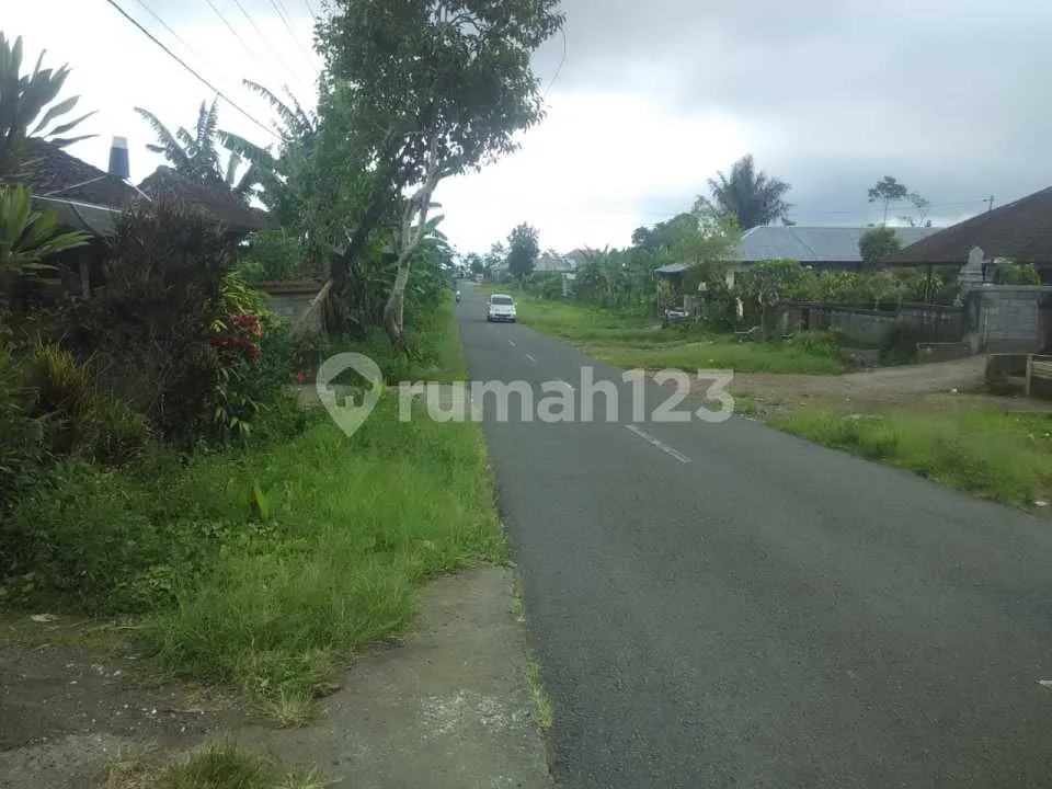 Dijual Lahan Tanah Di Jl. Asah Gobleg.banjar.buleleng. Bali - Image 4 of 4
