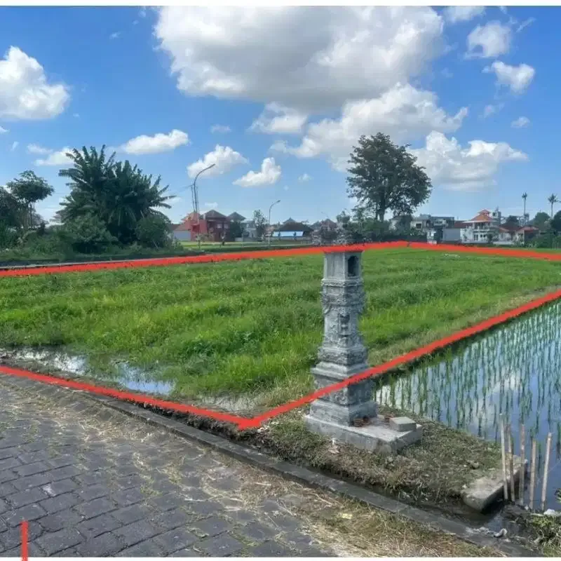 tanah murah zona kuning di buduk prerenan - Image 5 of 5