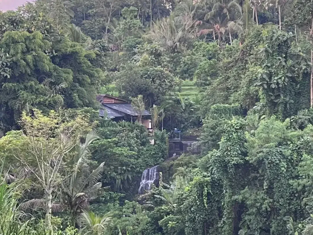 River Front Land For Sale Near Beji Waterfall - Image 4 of 10
