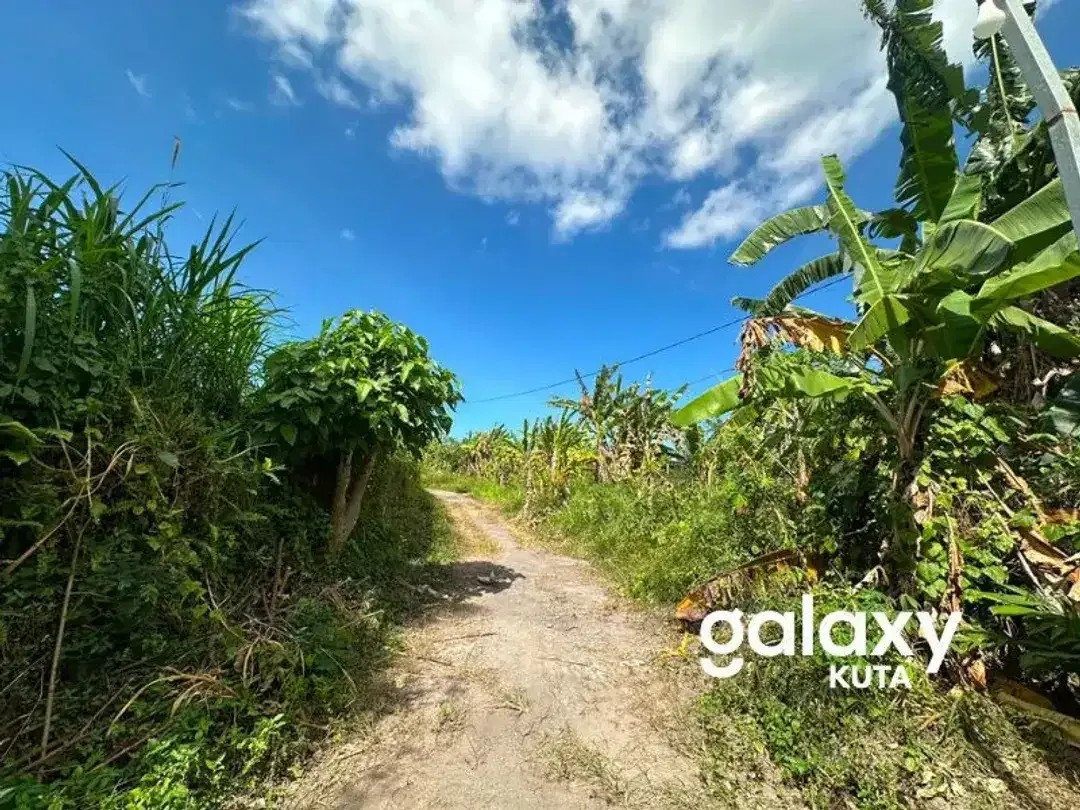 DIJUAL TANAH VIEW SAWAH DEKAT PANTAI KERAMAS DI AURA PERING GIANYAR - Image 3 of 6