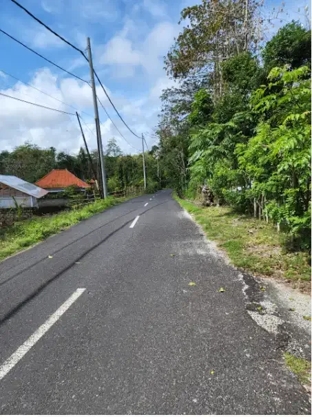 Tanah Murah 1 Hektar Dekat Pantai Ungasan - Image 5 of 10