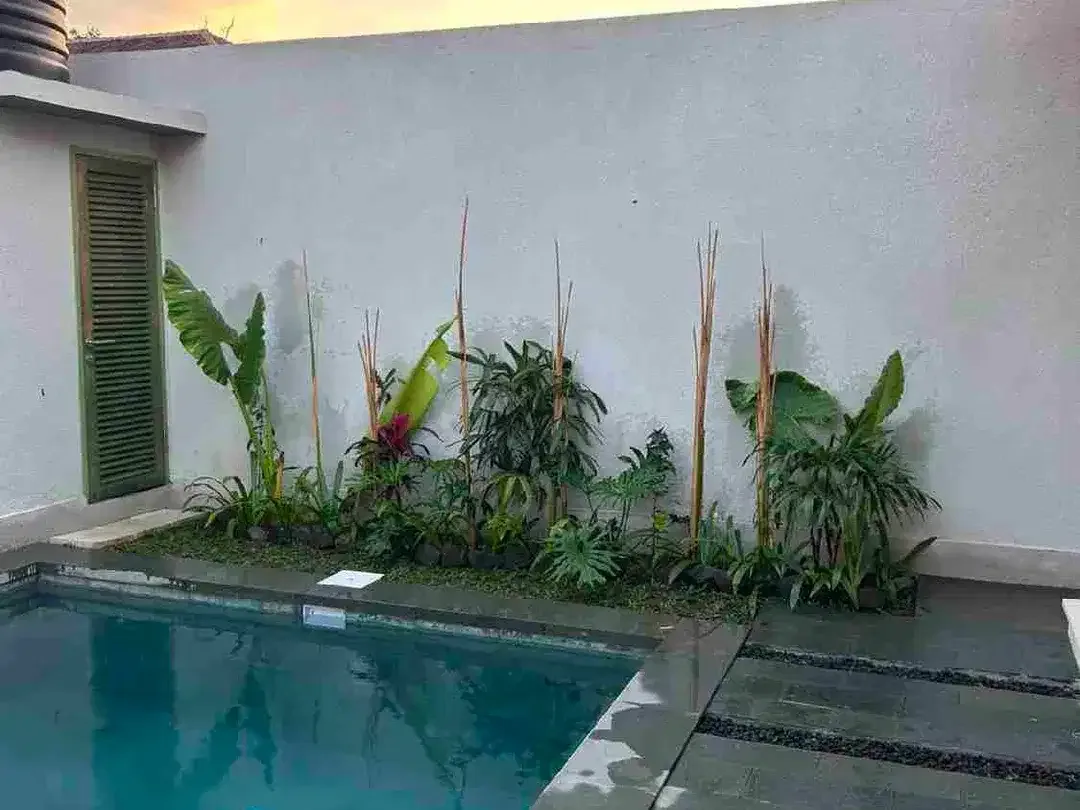 villa jalan kutat lestari Sanur bali - Image 3 of 10