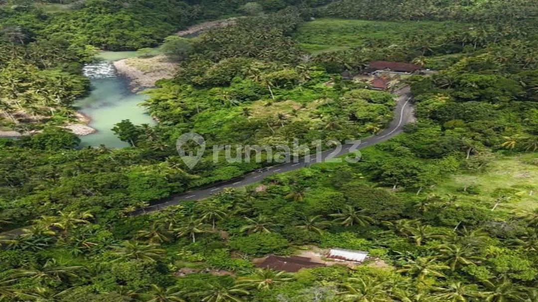 Di Jual Tanah Kebun Lokasi Surabrata Selemadeg Barat - Image 3 of 4