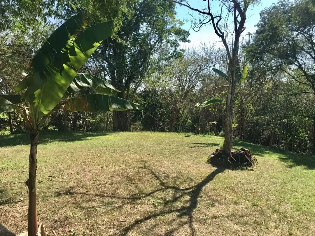 Di jual Tanah luas 191 are / 1 Hektare 91 are Lokasi dekat dengan pantai Klecung, Selemadeg, Tabanan Bali - Image 7 of 10