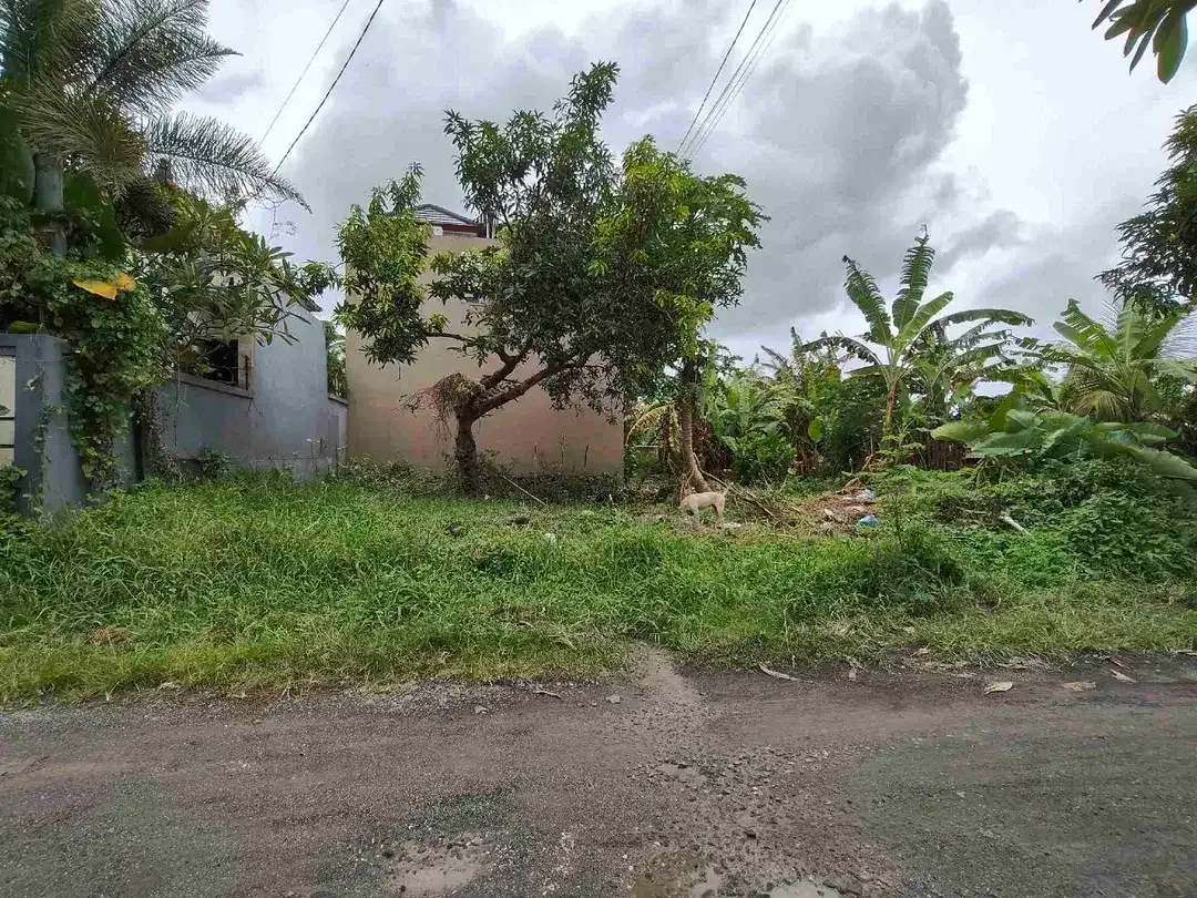 Tanah di Munggu dekat Pantai Seseh dan ke Canggu Bali - Image 2 of 4