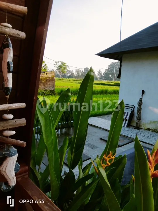 For Rent Villa Rice Field View Near Sentral Ubud Like A Piece Of Heaven - Image 1 of 4