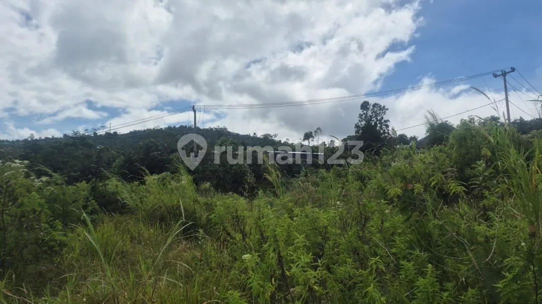Tanah View Laut dan Bukit Munduk #Tj8904 - Image 2 of 3