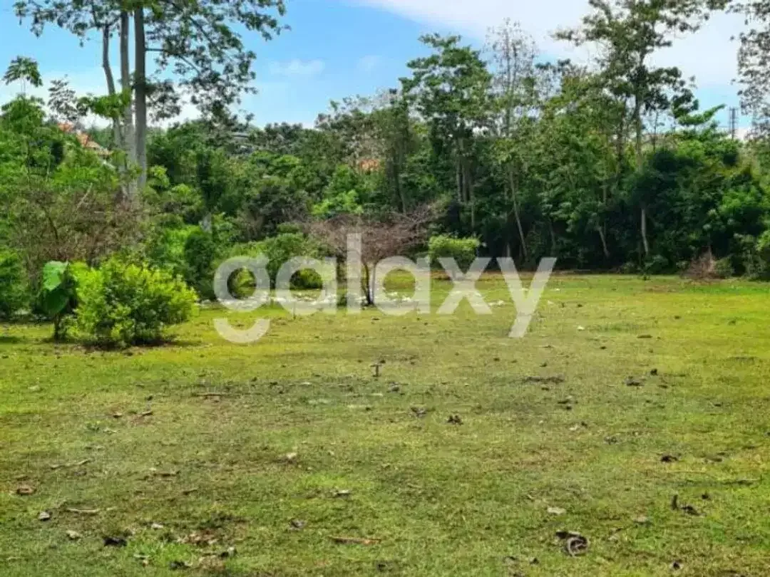DISEWAKAN JANGKA PANJANG/ LEASE TANAH DATAR SIAP BANGUN DI ANCAK SARI PECATU - Image 3 of 8