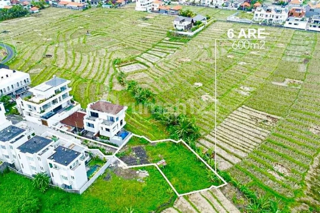 Tanah Murah di Cemagi , View Sawah Lt600m2 - Image 2 of 4