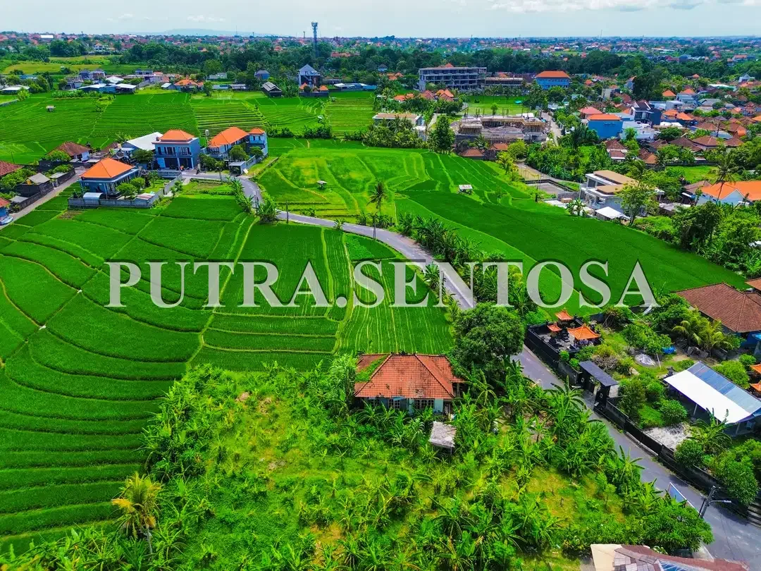 TANAH PERERENAN TUMBAK BAYUH JALAN UTAMA - Image 3 of 9