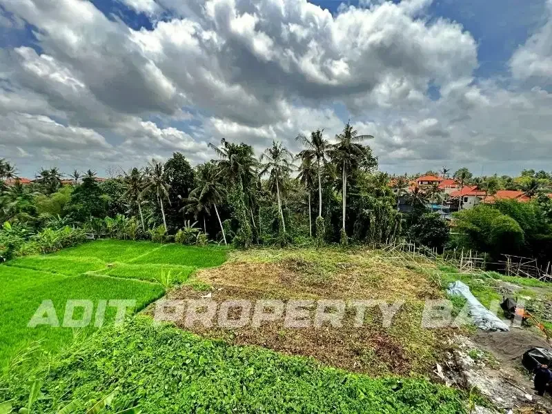 Tanah Los Sungai Tirta Tawar Ubud Gianyar Bali - Image 6 of 10