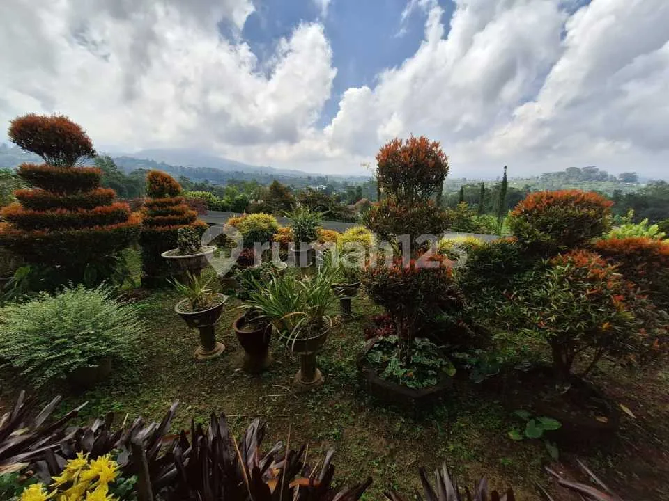 Tanah & Rumah Dijual di Baturiti Bedugul Bali | 1.640 M² View Indah & Sejuk - Image 2 of 4