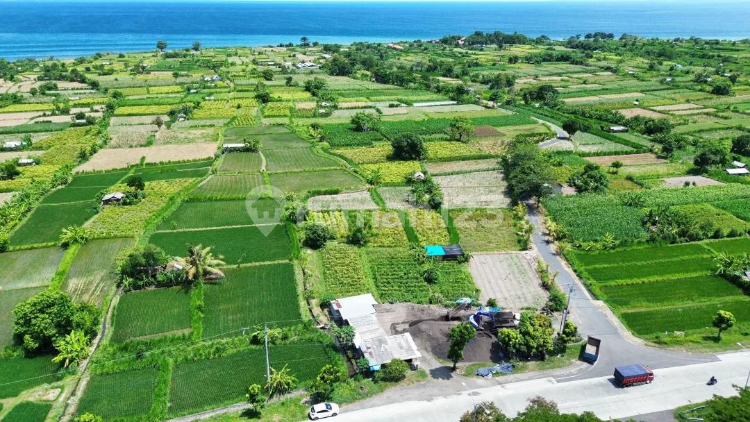 Tanah Premium 29 Are SHM Pinggir Jalan Utama Klungkung Bali - Image 2 of 4