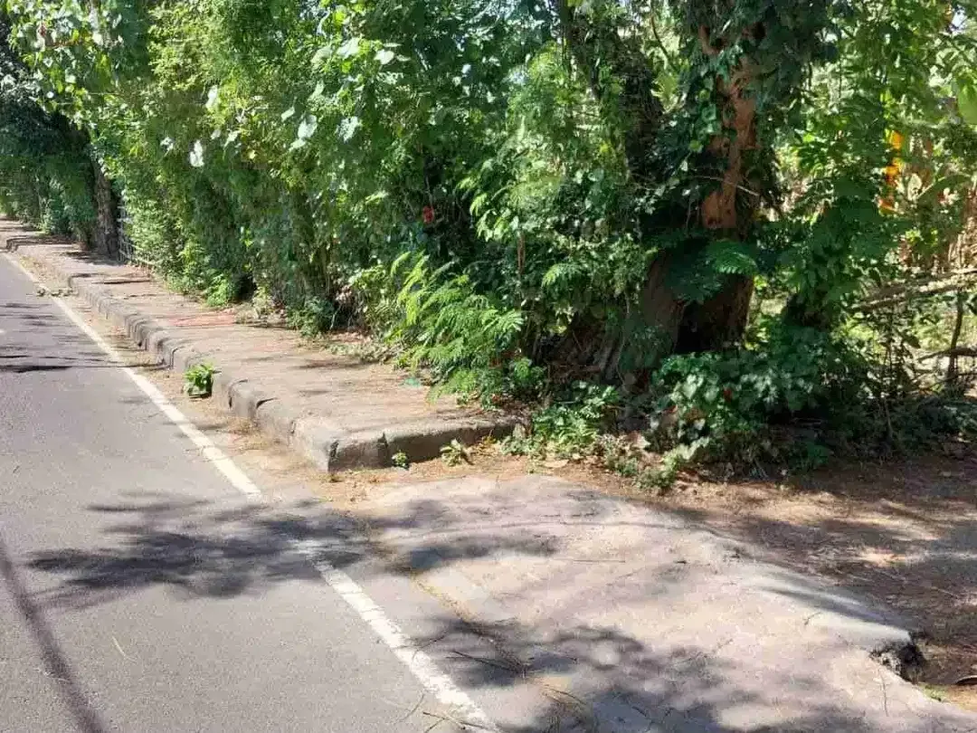 Tanah 75 Are untuk Bisnis Pariwisata di Area Kedonganan Jimbaran, jalan kaki ke Pantai - Image 7 of 10