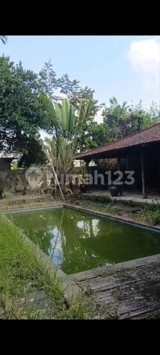 Jual Tanah Bonus Vila Kayu Kolam Renang Siap Renovasi - Image 4 of 4