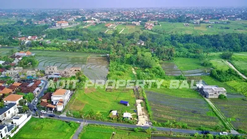 Tanah View Sawah Pantai Nyanyi Kediri Tabanan - Image 5 of 10