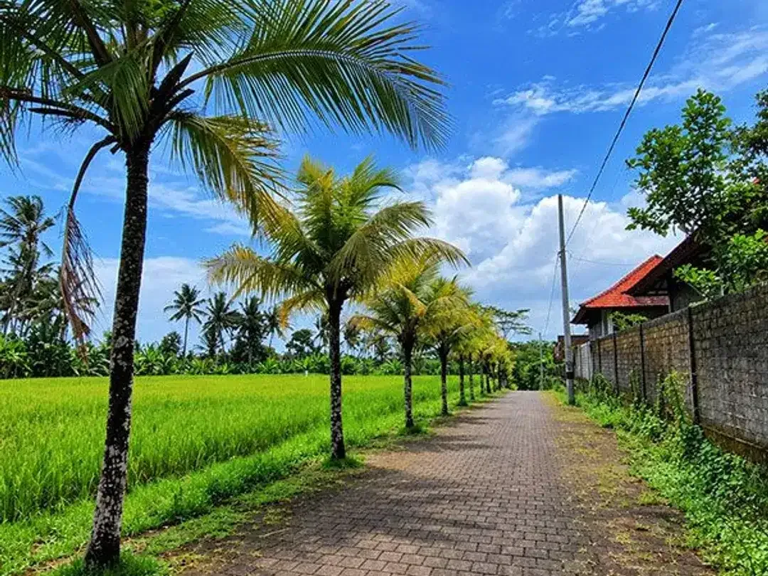 [AMS-102.BLR] Dijual Tanah Kavling Siap Bangun - di dalam Perumahan Denbantas Tabanan - Image 2 of 10